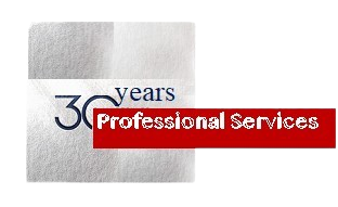 Professional Consultant in Dubai